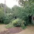 The back garden, and Nosher's bike on the lawn, Leaving Sewell's Cottages: from Red House to New Milton and Farnborough - 22nd September 1988