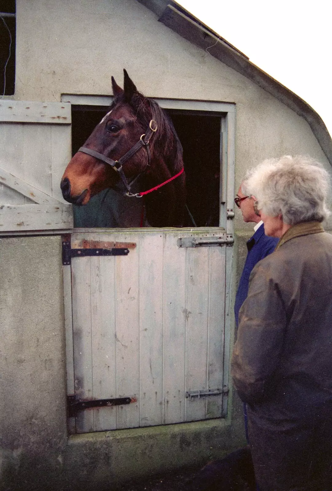 Bill and Diana chat to Oberon in his stable, from Uni: A Dinner Party, Harbertonford and Buckfastleigh, Devon - 24th December 1988