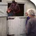 Bill and Diana chat to Oberon in his stable, Uni: A Dinner Party, Harbertonford and Buckfastleigh, Devon - 24th December 1988