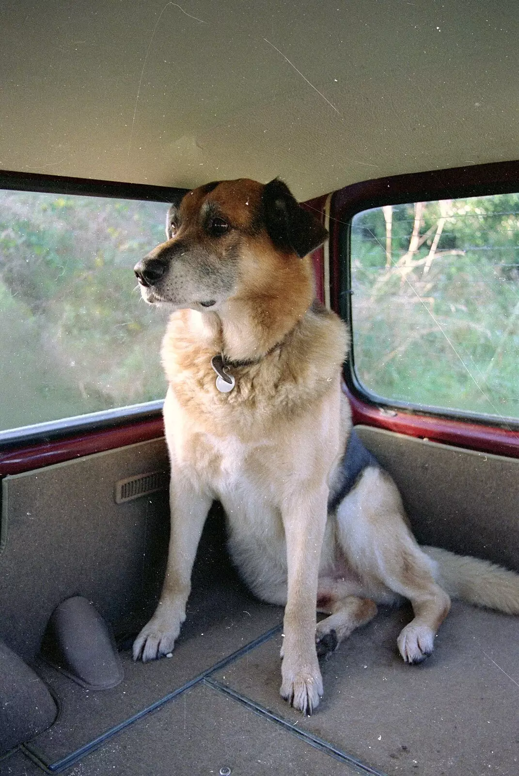 Marty in the back of the Volvo, from Uni: A Dinner Party, Harbertonford and Buckfastleigh, Devon - 24th December 1988