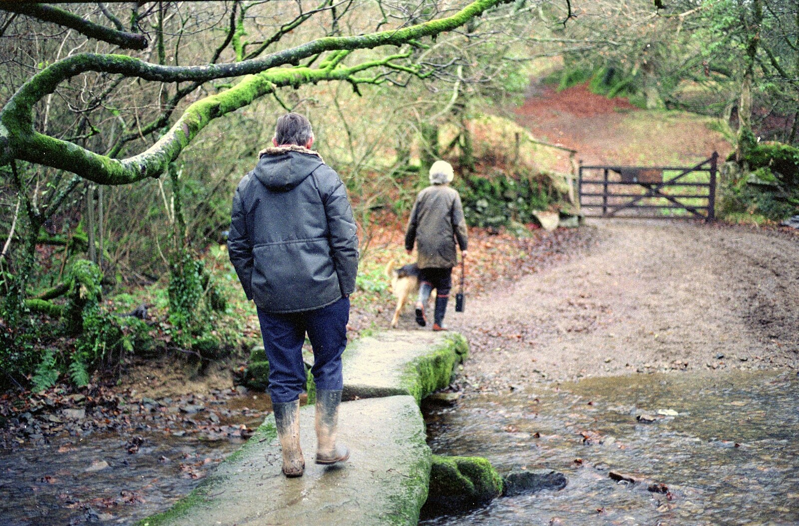 Bill crosses a stream via a stone bridge from Christmas at Pitt Farm, Harbertonford, Devon - 25th December 1988