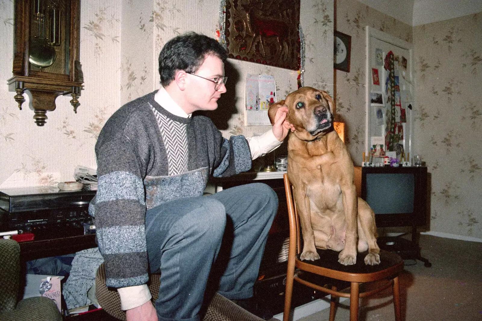 Geordie gets an ear tickle, from New Year's Eve at Hamish's, New Milton, Hampshire - 31st December 1988