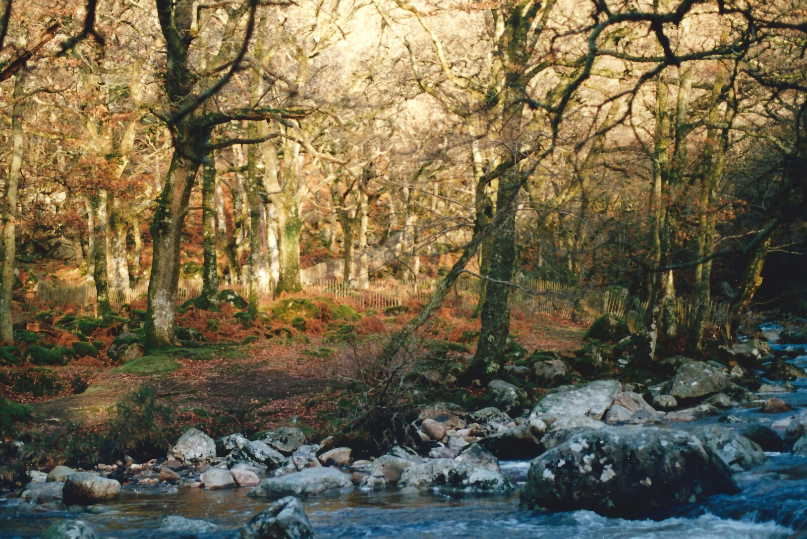 A Dartmoor river from Uni: A Ride on the Plym Valley Cycle Path, Plymstock, Devon - 26th February 1989