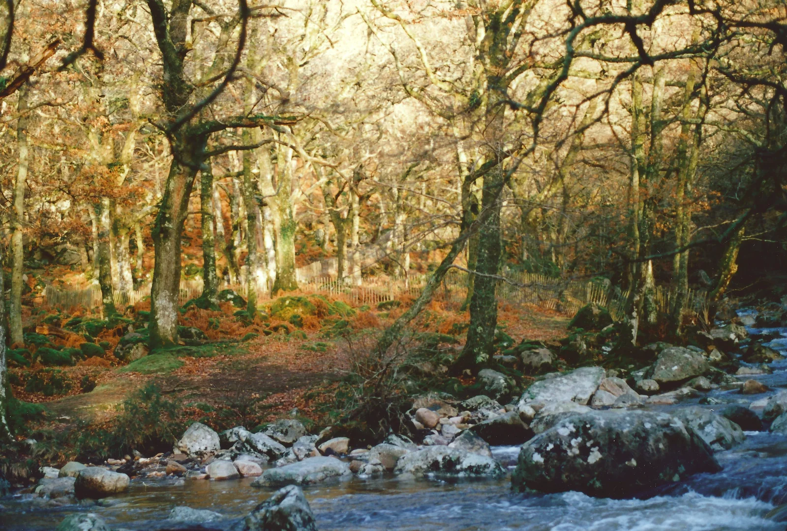 A Dartmoor river, from Uni: A Ride on the Plym Valley Cycle Path, Plymstock, Devon - 26th February 1989