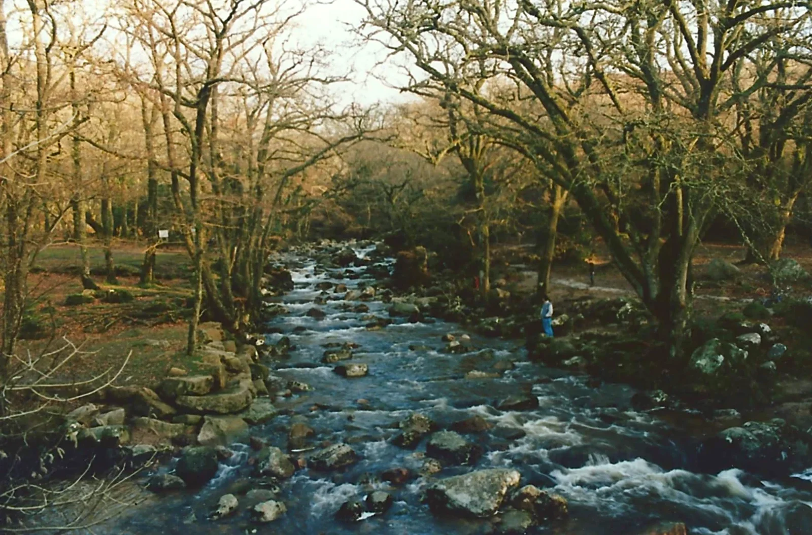 Riki stands by the River Plym, from Uni: A Ride on the Plym Valley Cycle Path, Plymstock, Devon - 26th February 1989