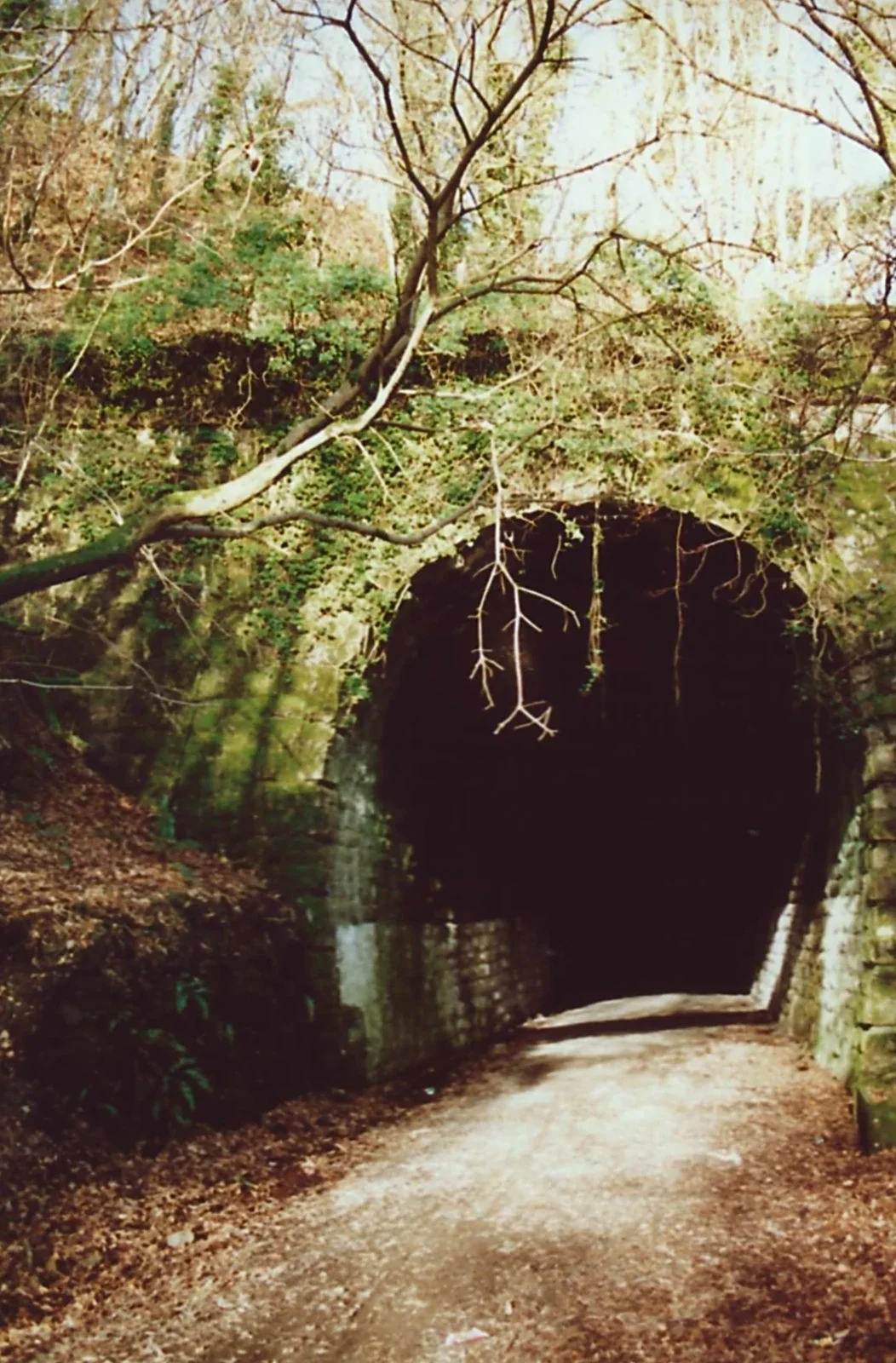 Almost the end of the line: the Leighbeer tunnel, from Uni: A Ride on the Plym Valley Cycle Path, Plymstock, Devon - 26th February 1989