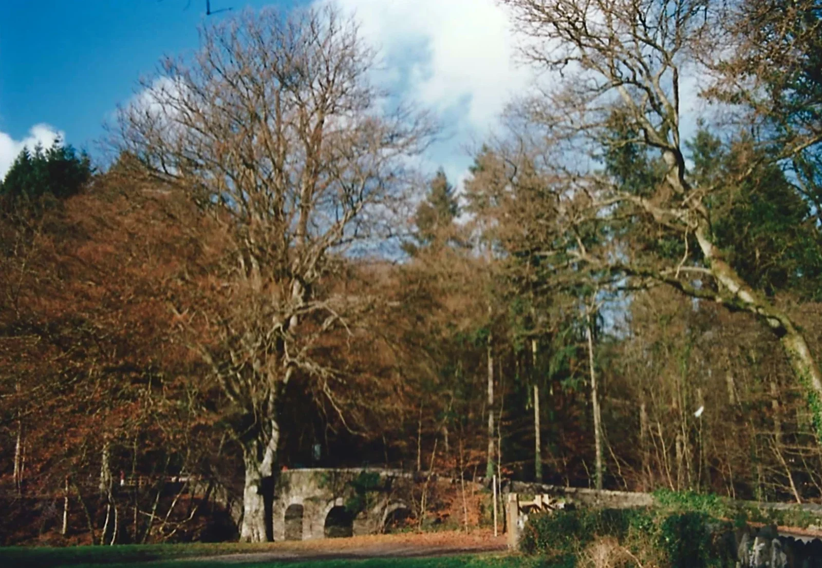 Another view of a stone bridge, from Uni: A Ride on the Plym Valley Cycle Path, Plymstock, Devon - 26th February 1989