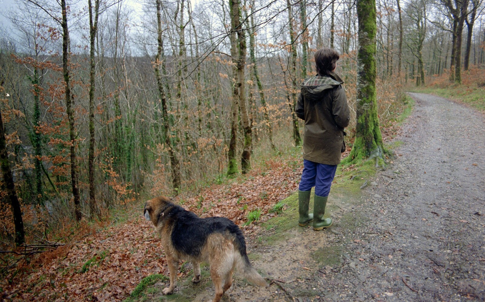 Angela and Marty stand around in a wood somewhere from Uni: Totnes and Dartmoor Pasties, Devon - 2nd March 1989