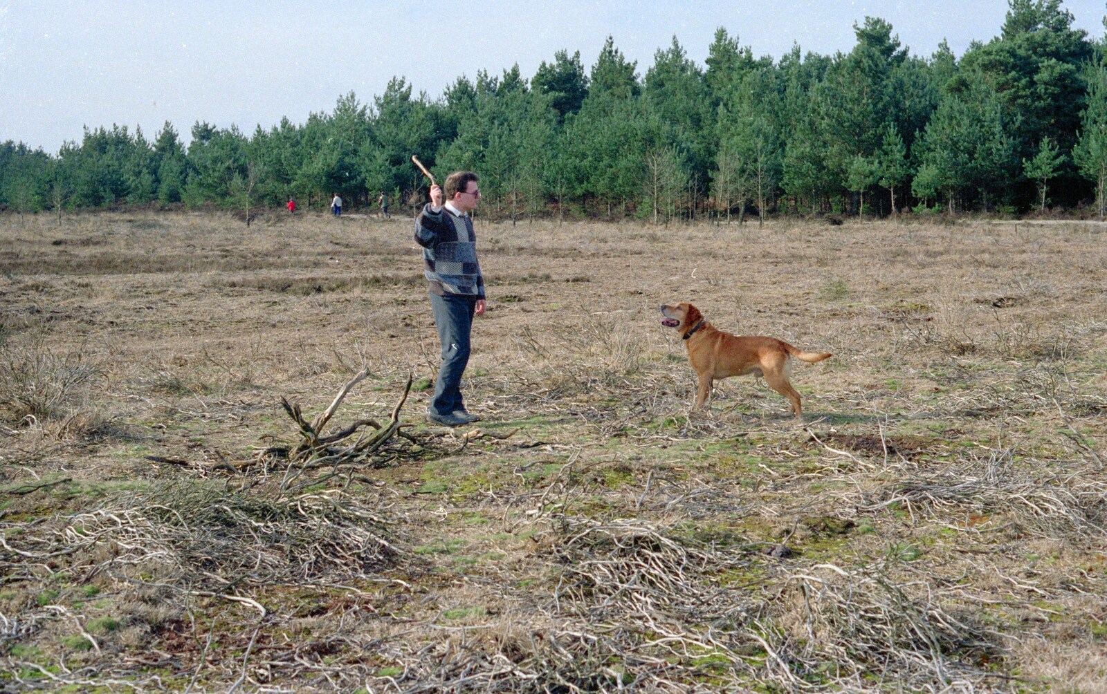 Hamish lobs a stick for Geordie from The Vineyard, Christchurch and Pizza, New Milton and the New Forest - 2nd April 1989