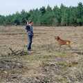 The Vineyard, Christchurch and Pizza, New Milton and the New Forest - 2nd April 1989, Hamish lobs a stick for Geordie