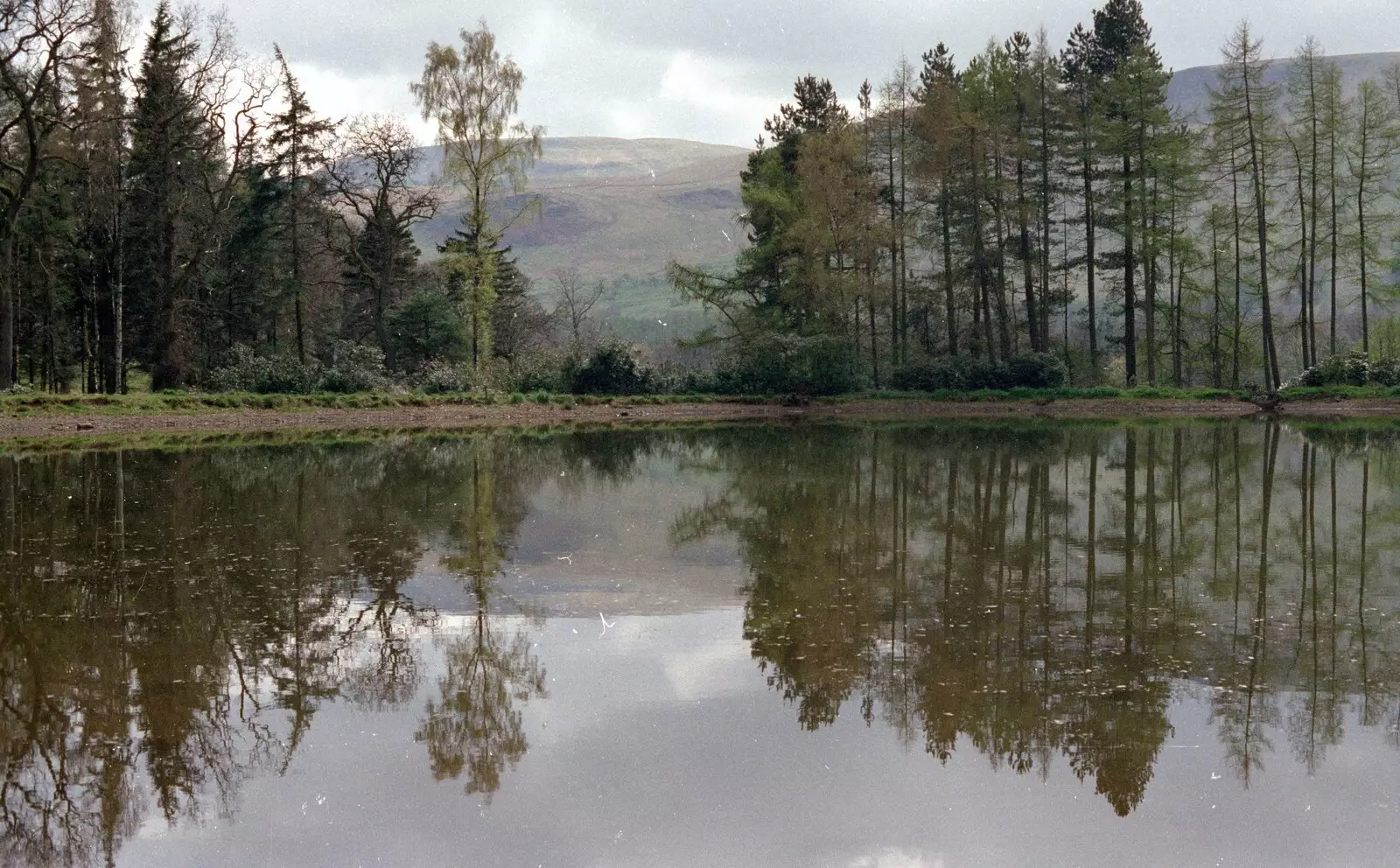 Reflected trees in a lake, from Uni: A Trip To Glasgow and Edinburgh, Scotland - 15th May 1989