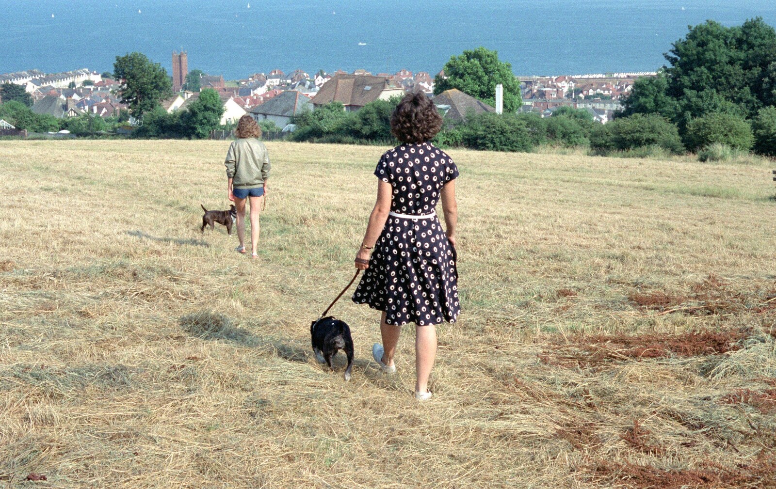 Taking the dogs for a walk from Uni: A Trip to the Riviera and Oberon Gets New Shoes, Torquay and Harbertonford, Devon - 3rd July 1989