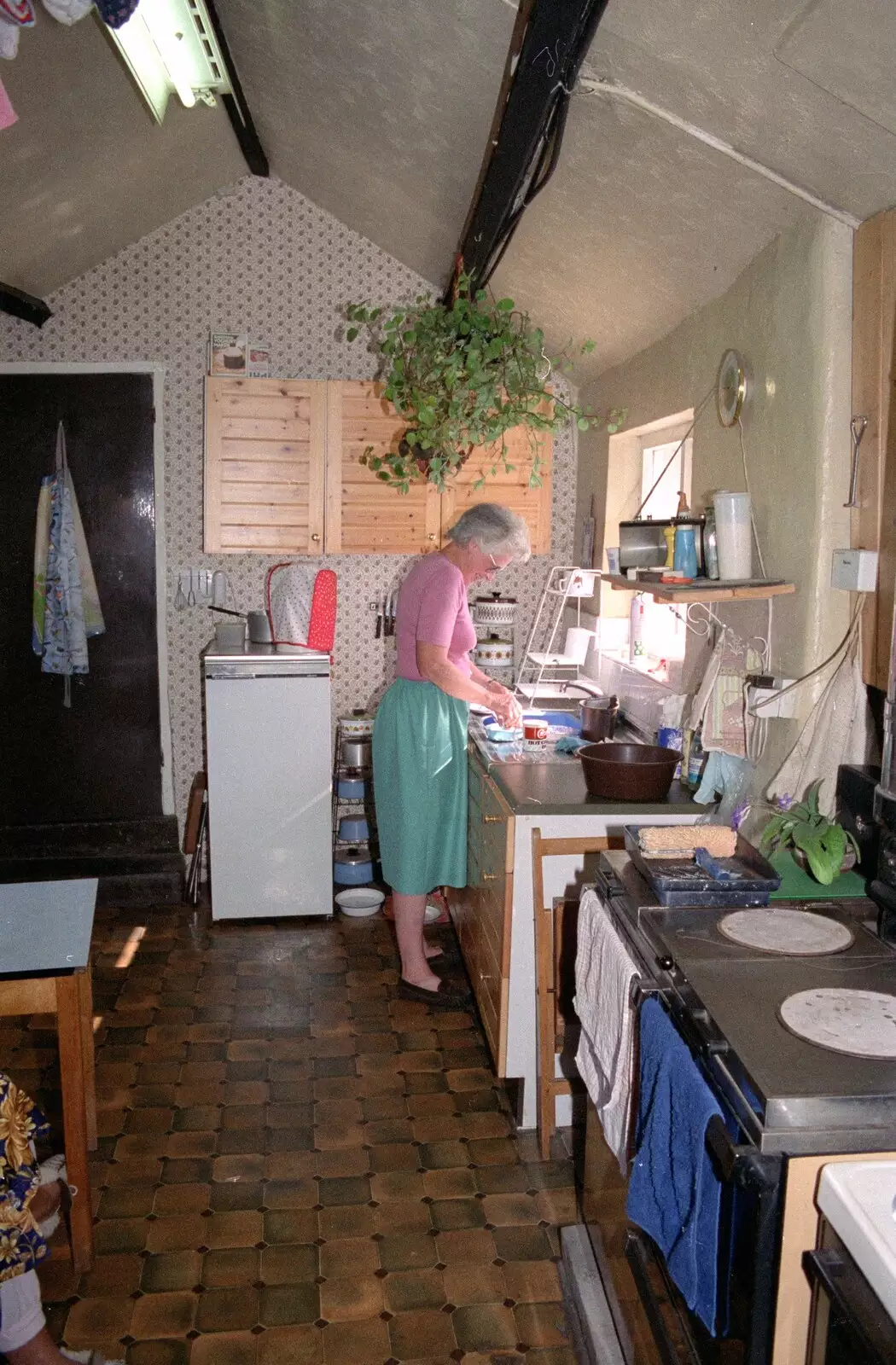 Angela's mother - Diana - does the washing up, from Uni: A Trip to the Riviera and Oberon Gets New Shoes, Torquay and Harbertonford, Devon - 3rd July 1989