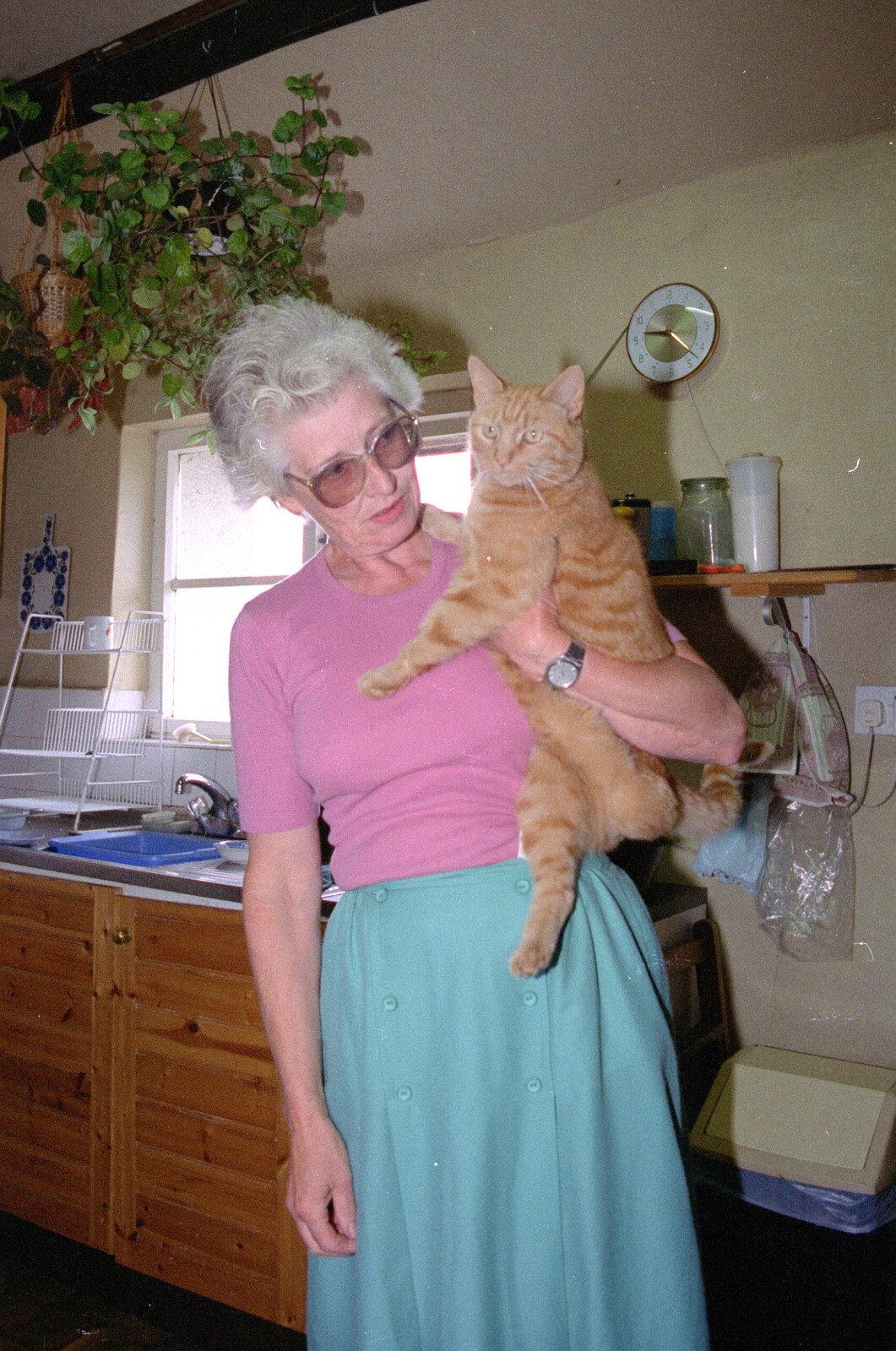 Diana with Benjy, the three-legged cat from Uni: A Trip to the Riviera and Oberon Gets New Shoes, Torquay and Harbertonford, Devon - 3rd July 1989
