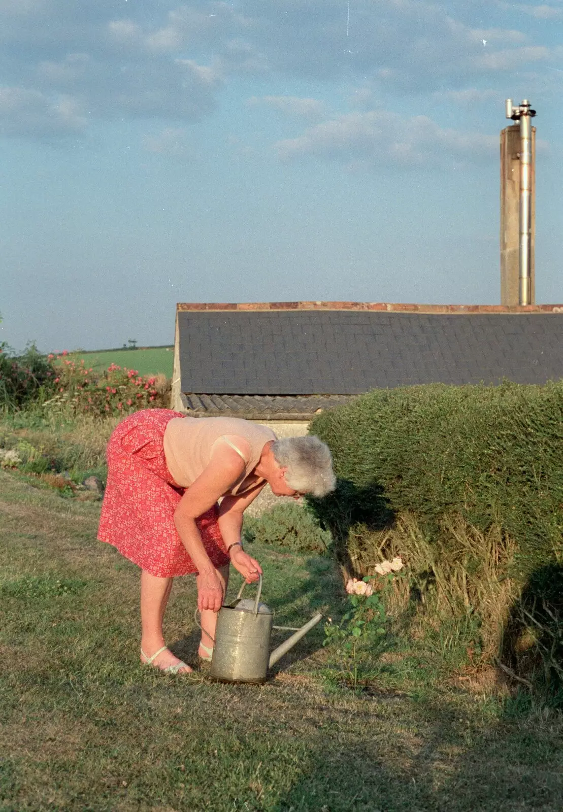 Diana does some watering, from Uni: A Trip to the Riviera and Oberon Gets New Shoes, Torquay and Harbertonford, Devon - 3rd July 1989