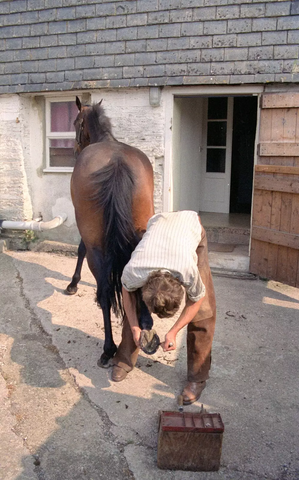 Oberon gets new shoes, from Uni: A Trip to the Riviera and Oberon Gets New Shoes, Torquay and Harbertonford, Devon - 3rd July 1989