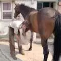 The farrier sticks on a hot horshoe, Uni: A Trip to the Riviera and Oberon Gets New Shoes, Torquay and Harbertonford, Devon - 3rd July 1989