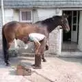 The farrier does his thing, Uni: A Trip to the Riviera and Oberon Gets New Shoes, Torquay and Harbertonford, Devon - 3rd July 1989