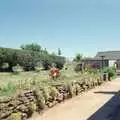 The front garden of Pitt Farm, Uni: A Trip to the Riviera and Oberon Gets New Shoes, Torquay and Harbertonford, Devon - 3rd July 1989