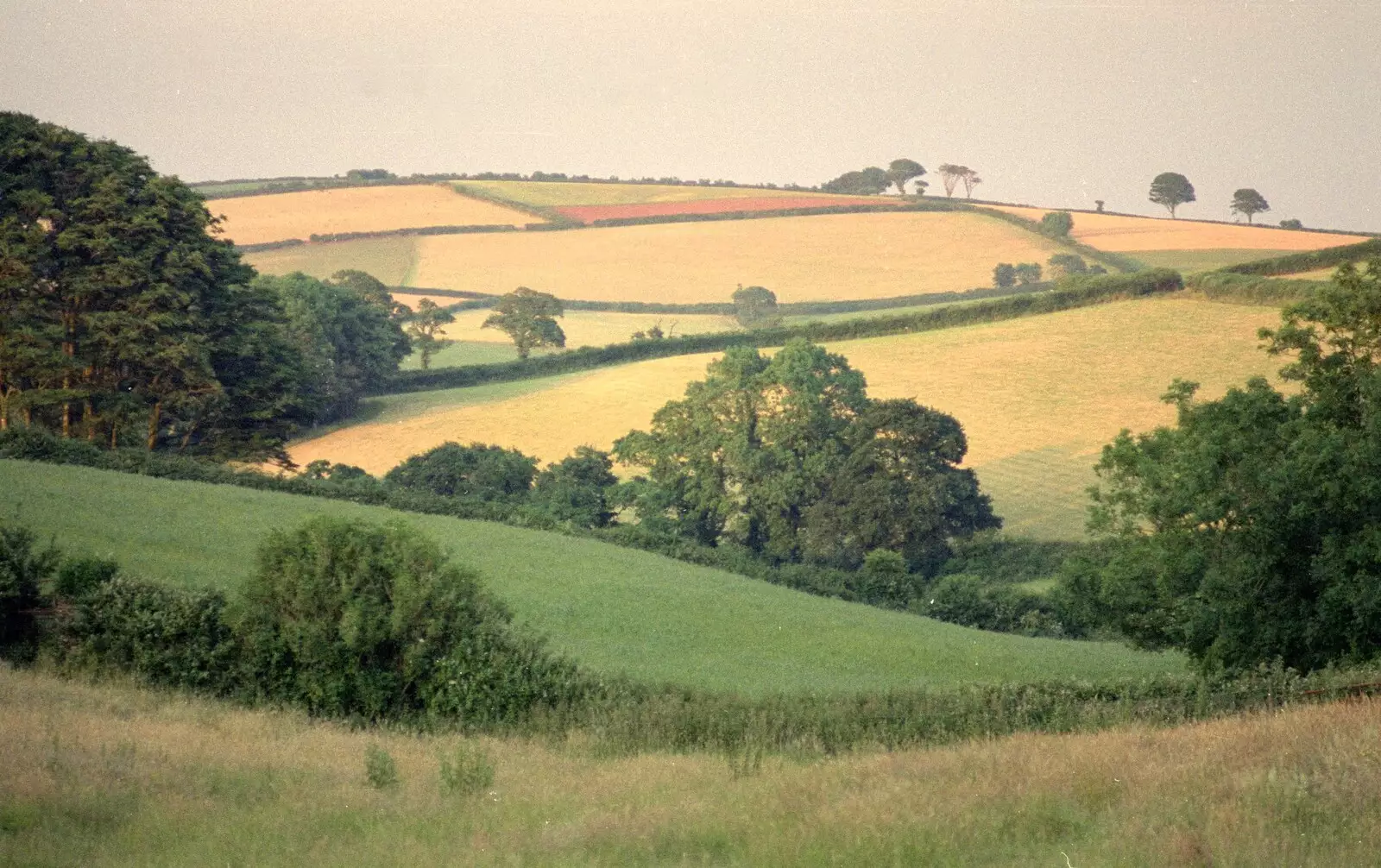 Rolling fields of Devon, from Uni: A Trip to the Riviera and Oberon Gets New Shoes, Torquay and Harbertonford, Devon - 3rd July 1989