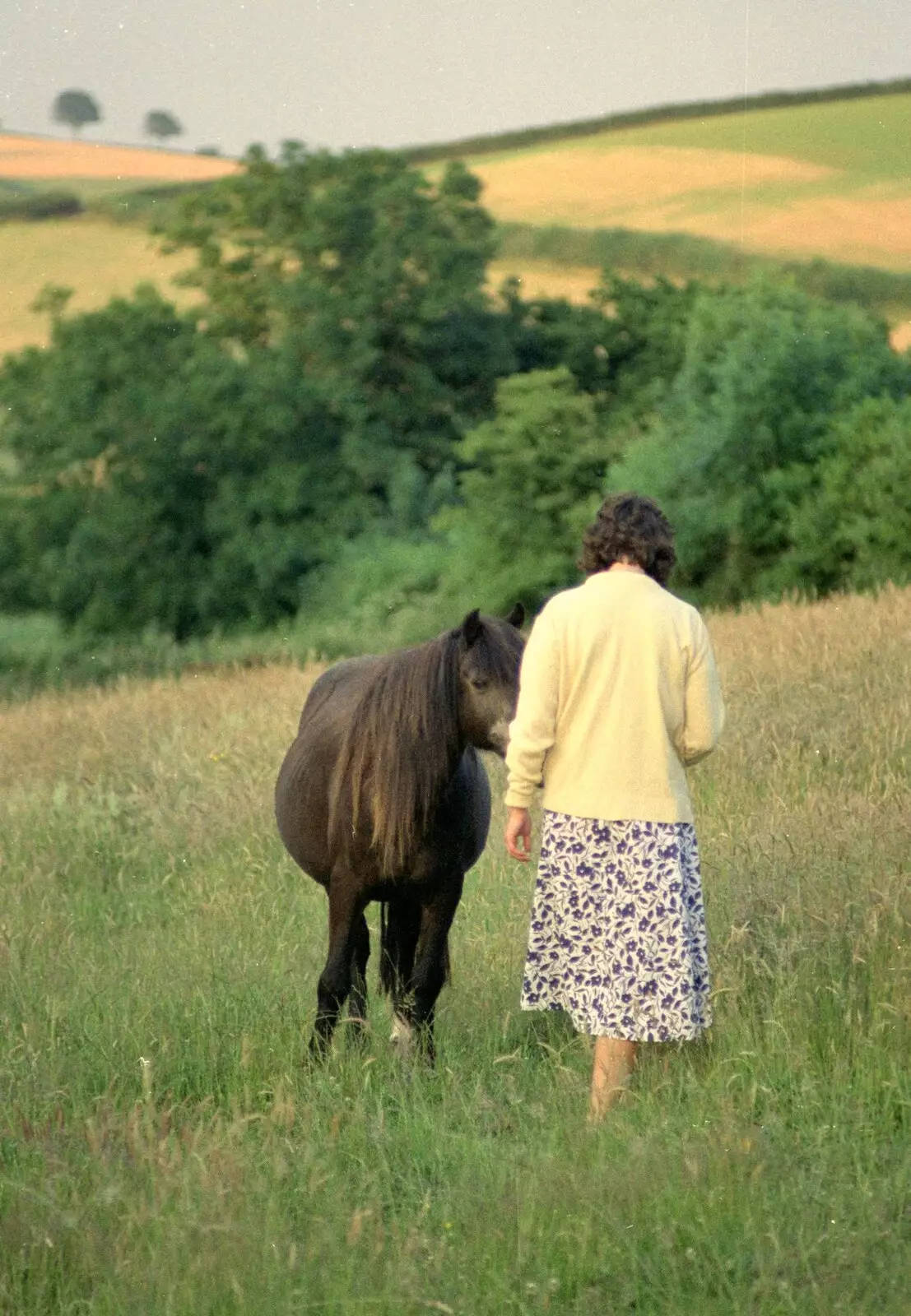 Angela says hi to Oberon's companion pony, from Uni: A Trip to the Riviera and Oberon Gets New Shoes, Torquay and Harbertonford, Devon - 3rd July 1989