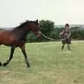 Angela excercises Oberon on a lunge, Uni: A Trip to the Riviera and Oberon Gets New Shoes, Torquay and Harbertonford, Devon - 3rd July 1989