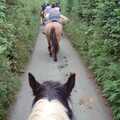 A photo from the back of a horse, whilst riding, Uni: Horse Riding on Dartmoor, and Nosher's Bedroom, Shaugh Prior and Plymouth - 8th July 1989