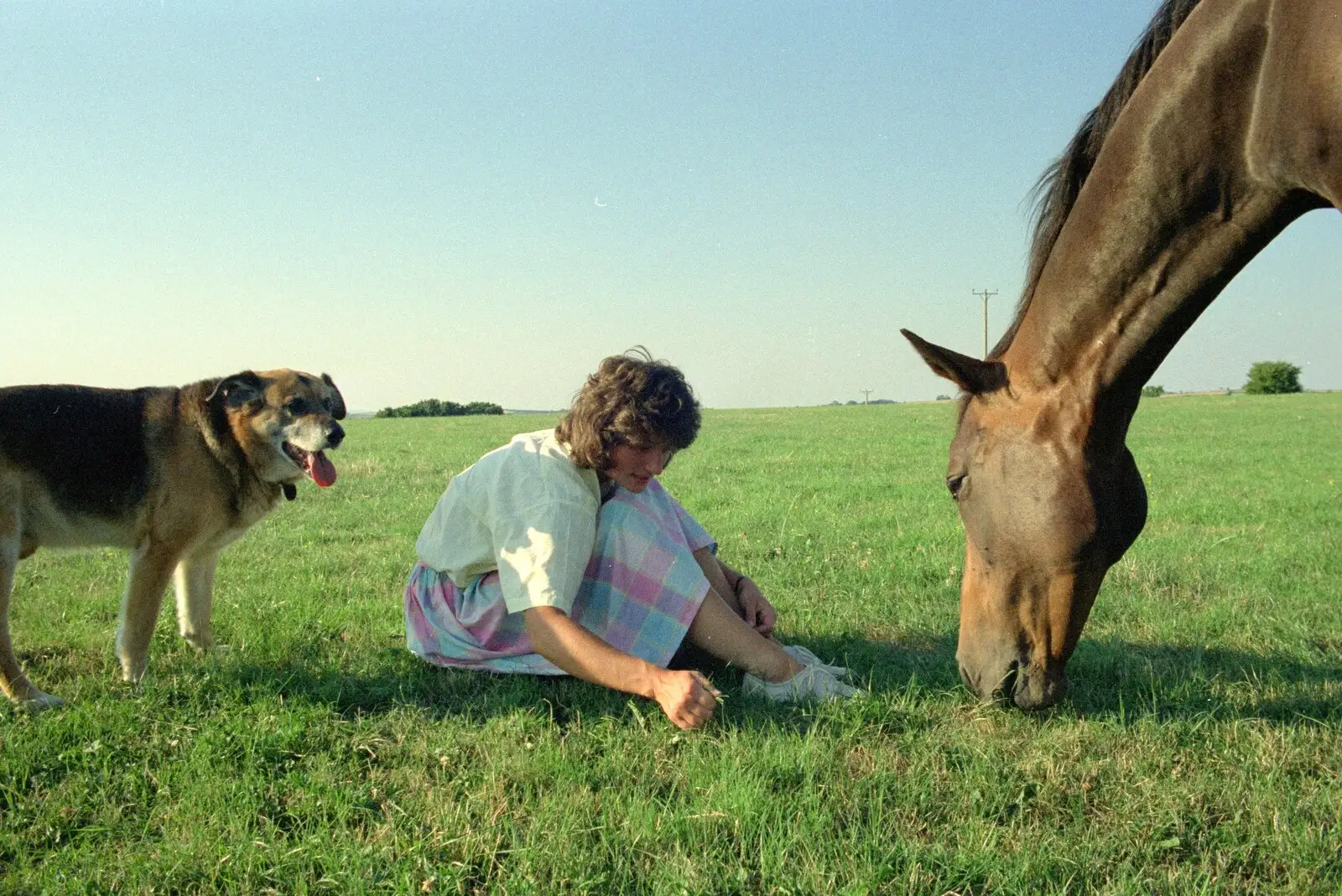 Marty, Angela and Oberon the horse, from Summer Days on Pitt Farm, Harbertonford, Devon - 17th July 1989