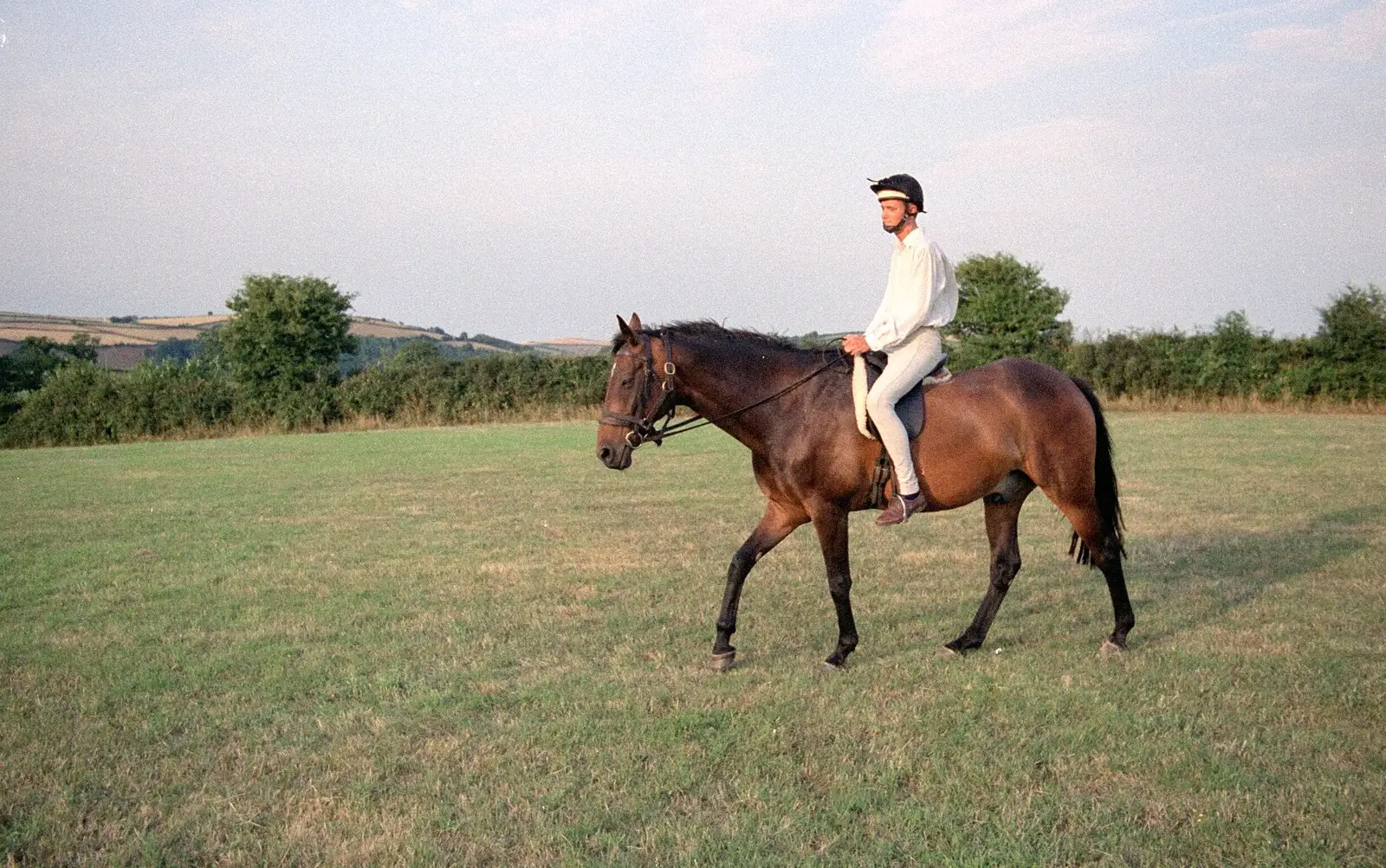 Dressage at the Horse of the Year Show, from Summer Days on Pitt Farm, Harbertonford, Devon - 17th July 1989