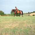 Oberon gets a pat, Summer Days on Pitt Farm, Harbertonford, Devon - 17th July 1989