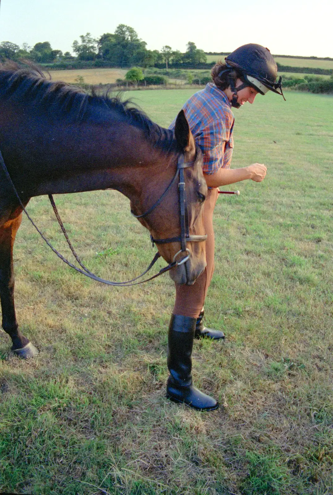 Oberon gives a nudge, from Summer Days on Pitt Farm, Harbertonford, Devon - 17th July 1989