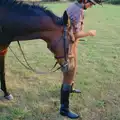 Oberon gives a nudge, Summer Days on Pitt Farm, Harbertonford, Devon - 17th July 1989