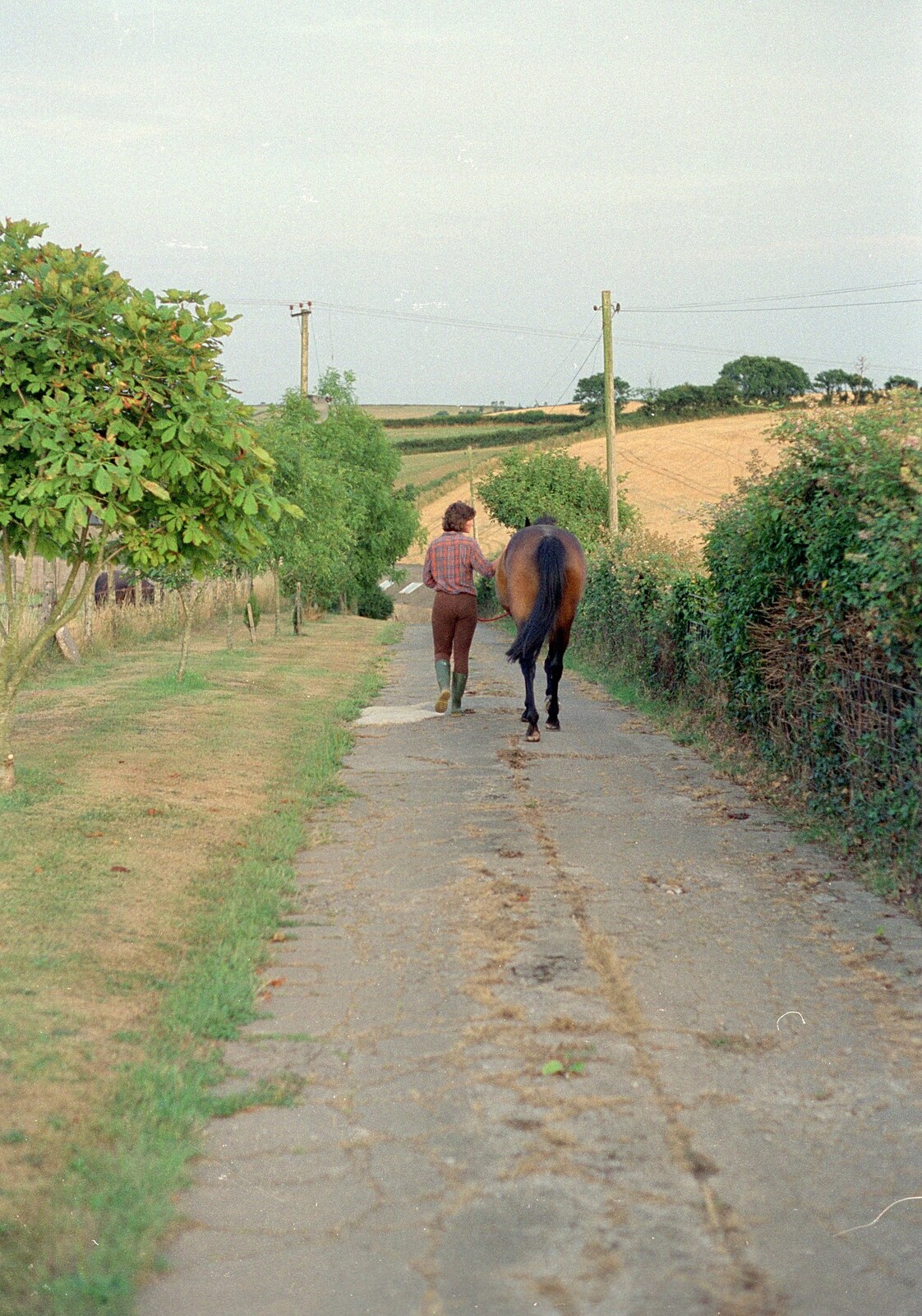 Angela takes Oberon for a walk down the drive from Summer Days on Pitt Farm, Harbertonford, Devon - 17th July 1989