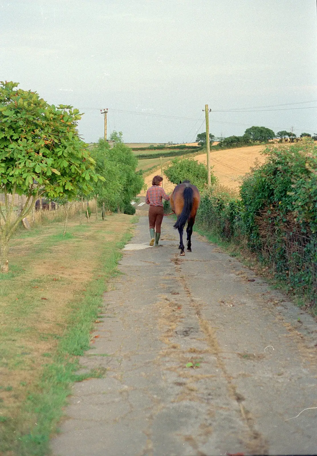 Angela takes Oberon for a walk down the drive, from Summer Days on Pitt Farm, Harbertonford, Devon - 17th July 1989