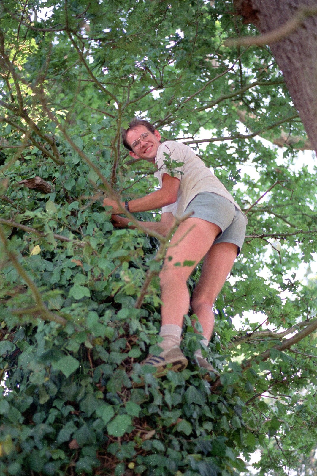 Phil climbs a tree from Back From Uni: Summer Pruning, Bransgore, Dorset - 25th July 1989