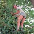 Phil climbs a tree, Back From Uni: Summer Pruning, Bransgore, Dorset - 25th July 1989