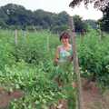 Angela mills around in amongst the vines, Back From Uni: Summer Pruning, Bransgore, Dorset - 25th July 1989