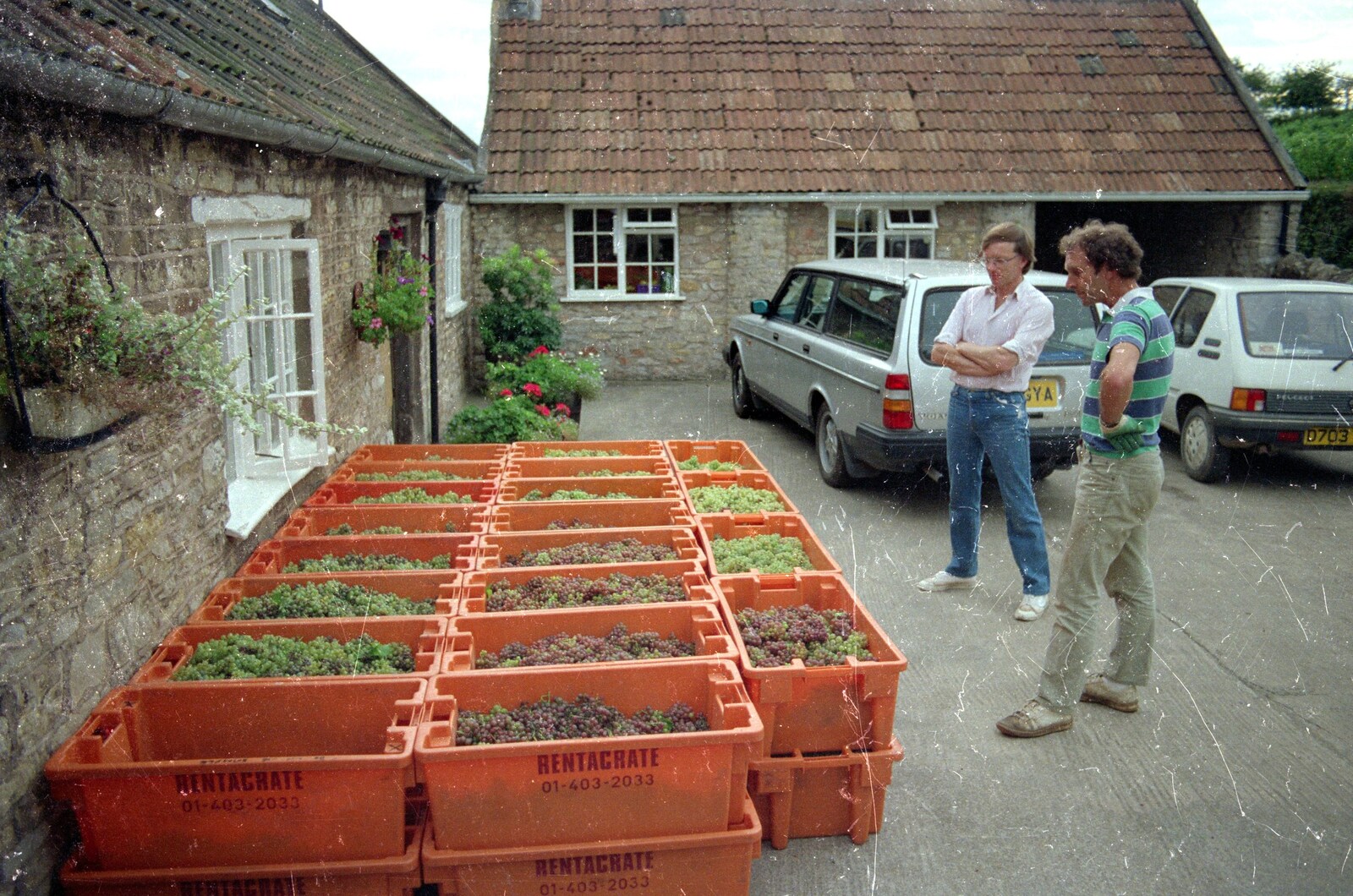 The Harrow harvest outside Wootton Winery from Harrow Vineyard Harvest and Wootton Winery, Dorset and Somerset - 5th September 1989