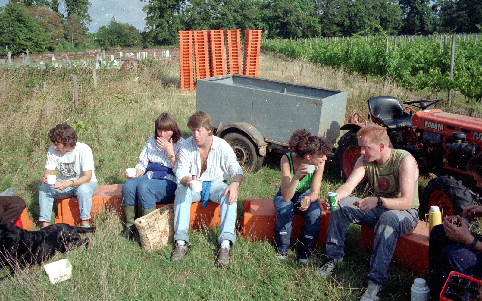 More tea break from Harrow Vineyard Harvest and Wootton Winery, Dorset and Somerset - 5th September 1989