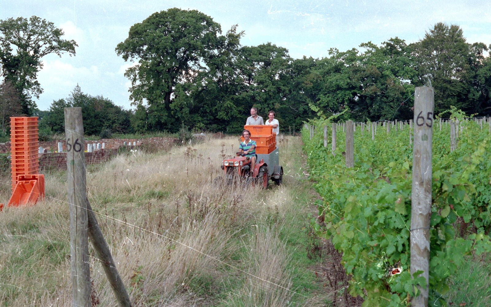 More tractor driving from Harrow Vineyard Harvest and Wootton Winery, Dorset and Somerset - 5th September 1989