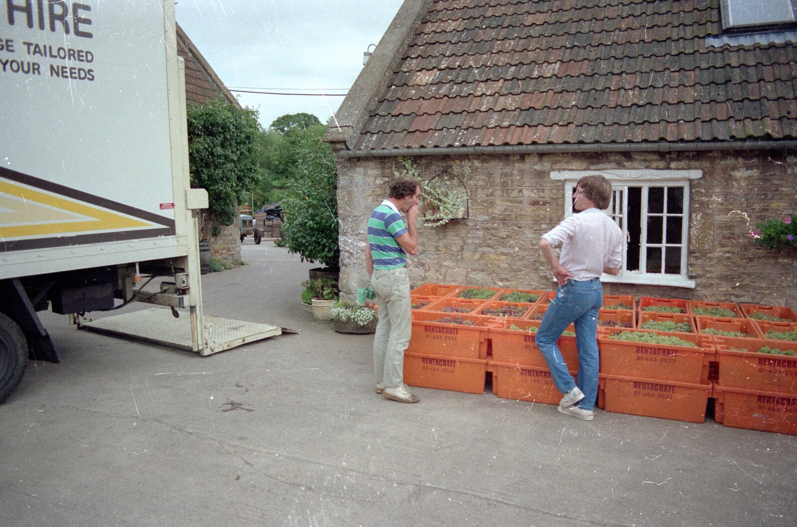 Mike checks over the grapes from Harrow Vineyard Harvest and Wootton Winery, Dorset and Somerset - 5th September 1989