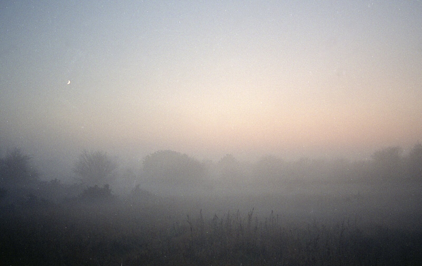 A very misty evening near the golf course from The Old Man Visits, and a Frosty Stuston, Suffolk - 8th December 1989