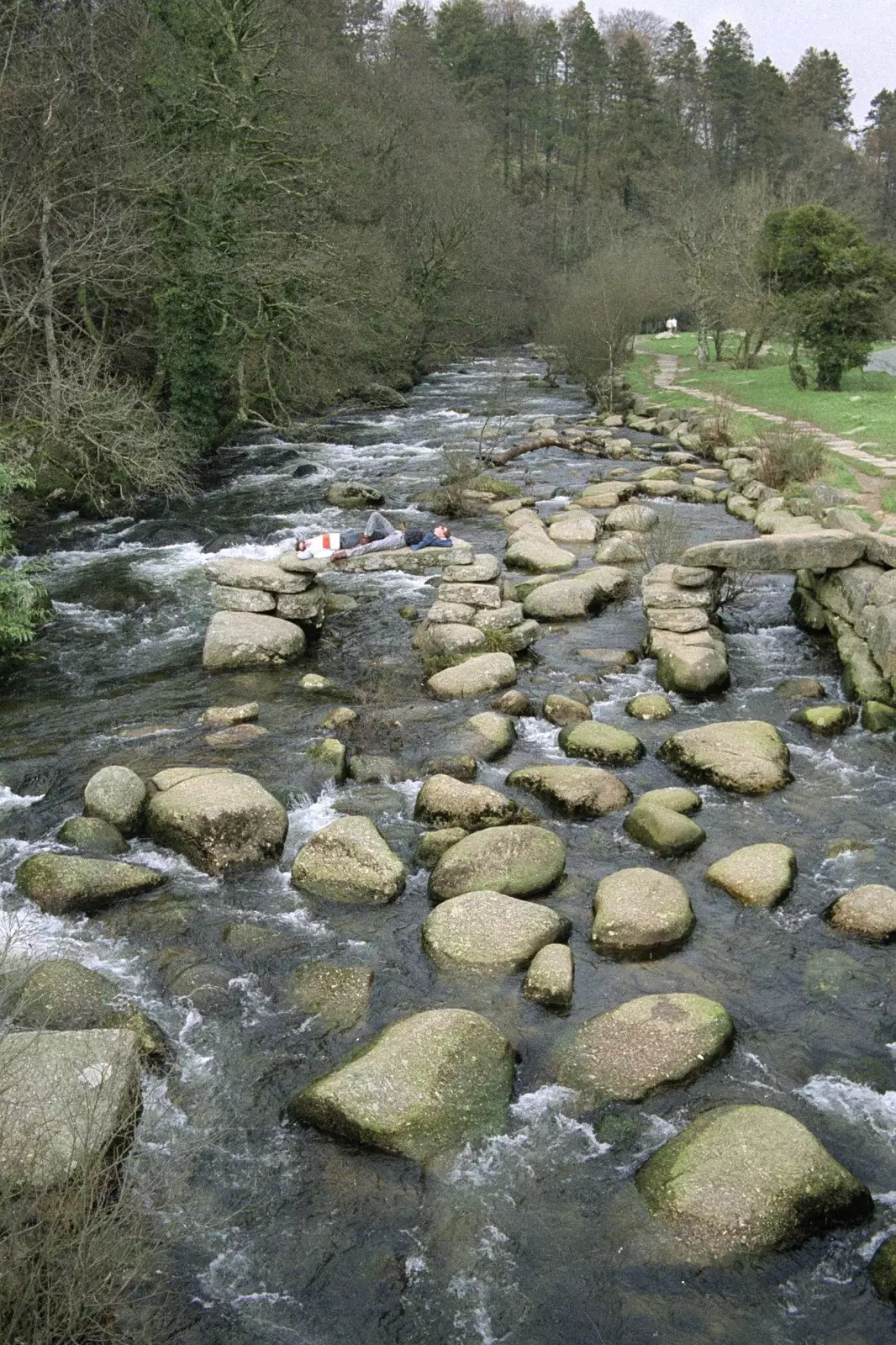 The river at Badger's Holt, Dartmoor, from A Trip to Plymouth and Bristol, Avon and Devon - 18th February 1990