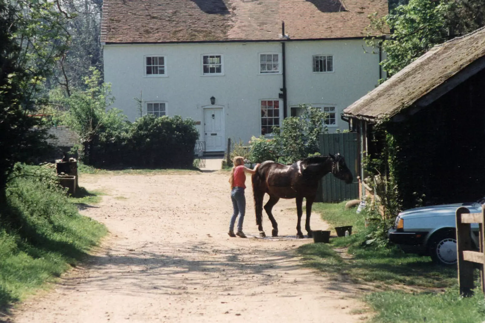 A horse gets a grooming, from Tapestry With Baz, and a Trip to Blakeney, Suffolk and Norfolk - 14th May 1990