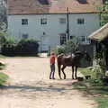 A horse gets a grooming, Tapestry With Baz, and a Trip to Blakeney, Suffolk and Norfolk - 14th May 1990