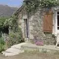 A local white dog hangs around outside, A Trip To Huelgoat, Brittany, France - 11th June 1990