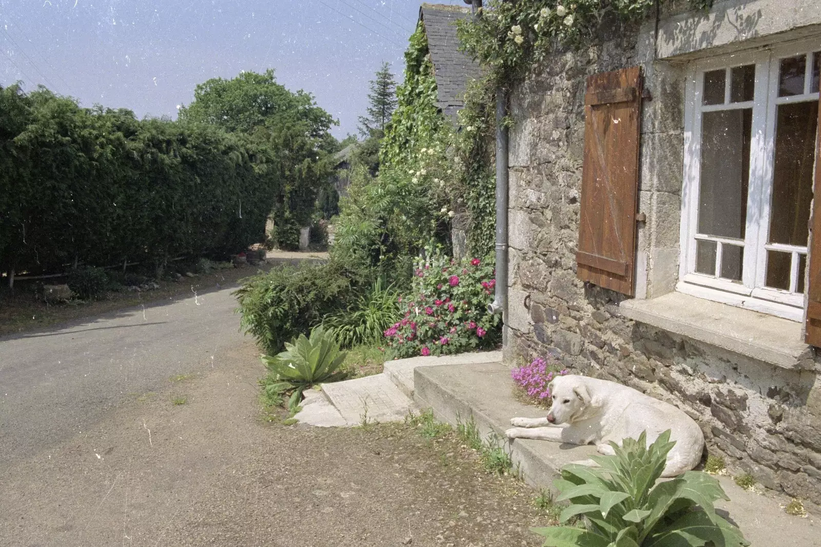 A view down the lane, from A Trip To Huelgoat, Brittany, France - 11th June 1990