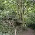 An unusual tree trunk, Liz's Party, Abergavenny, Monmouthshire, Wales - 4th August 1990