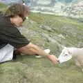 Phil reaches out to a sheep, A Walk in the Brecon Beacons, Bannau Brycheiniog, Wales - 5th August 1990