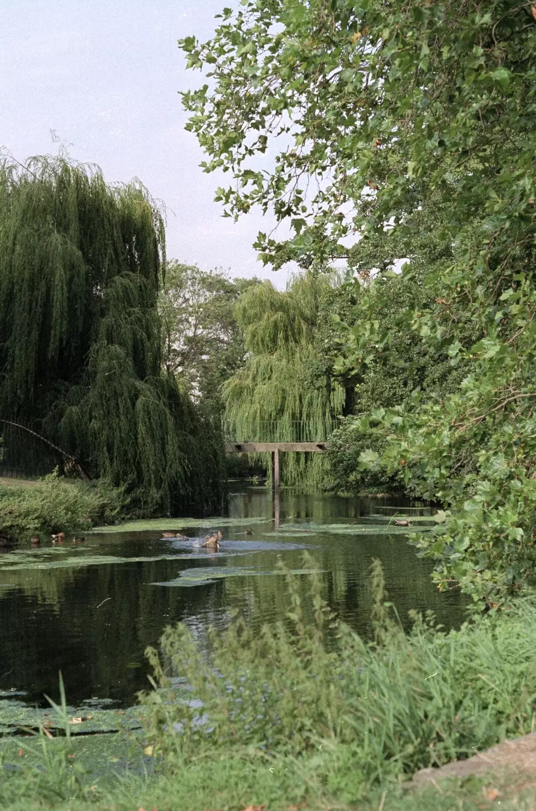 Picturesque river scene in Colchester, from Printec Karl's Birthday, and Clacton Pier With Steve-O, Weybread and Essex - 22nd August 1990